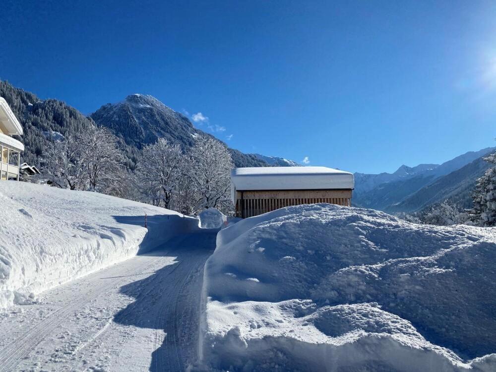 Haus Albuin Sankt Gallenkirch Exterior foto